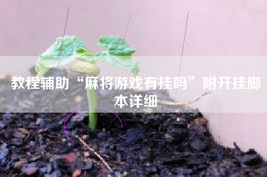 教程辅助“麻将游戏有挂吗”附开挂脚本详细
