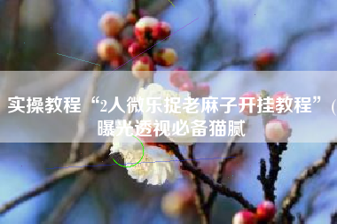 实操教程“2人微乐捉老麻子开挂教程	”(曝光透视必备猫腻