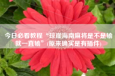 今日必看教程“琼崖海南麻将是不是输就一直输”(原来确实是有插件)