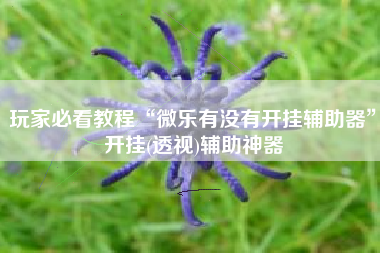 玩家必看教程“微乐有没有开挂辅助器”开挂(透视)辅助神器