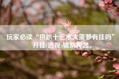 玩家必读“拱趴十三水大菠萝有挂吗”开挂(透视)辅助神器