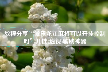 教程分享“微乐龙江麻将可以开挂控制吗”开挂(透视)辅助神器