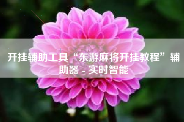 开挂辅助工具“东游麻将开挂教程	”辅助器 - 实时智能