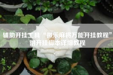 辅助开挂工具“微乐麻将万能开挂教程”附开挂脚本详细教程