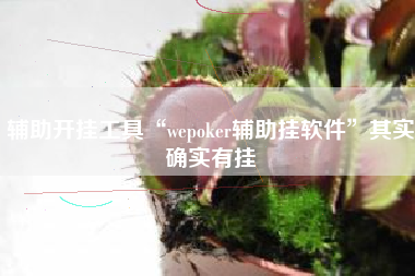 辅助开挂工具“wepoker辅助挂软件”其实确实有挂