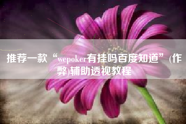 推荐一款“wepoker有挂吗百度知道	”(作弊)辅助透视教程