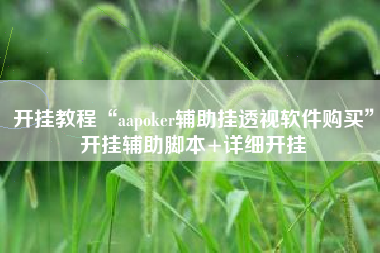 开挂教程“aapoker辅助挂透视软件购买”开挂辅助脚本+详细开挂
