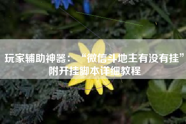 玩家辅助神器：“微信斗地主有没有挂”附开挂脚本详细教程