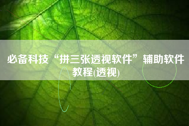 必备科技“拼三张透视软件”辅助软件教程(透视)