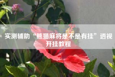 实测辅助“熊猫麻将是不是有挂”透视开挂教程