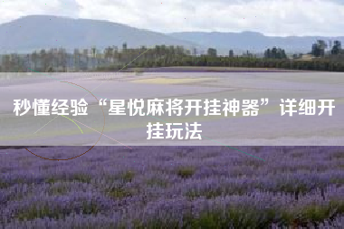 秒懂经验“星悦麻将开挂神器”详细开挂玩法