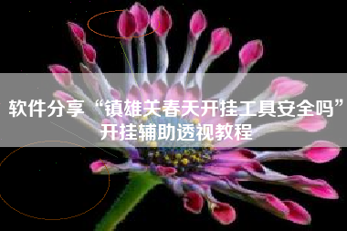 软件分享“镇雄关春天开挂工具安全吗”开挂辅助透视教程