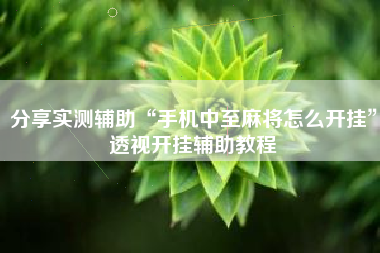 分享实测辅助“手机中至麻将怎么开挂	”透视开挂辅助教程