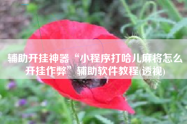 辅助开挂神器“小程序打哈儿麻将怎么开挂作弊”辅助软件教程(透视)