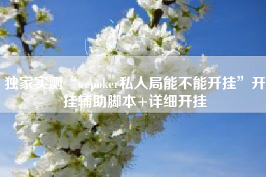 独家实测“wepoker私人局能不能开挂”开挂辅助脚本+详细开挂