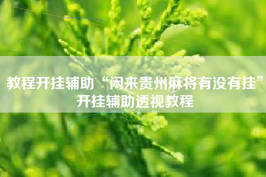 教程开挂辅助“闲来贵州麻将有没有挂”开挂辅助透视教程