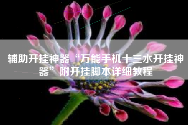 辅助开挂神器“万能手机十三水开挂神器”附开挂脚本详细教程