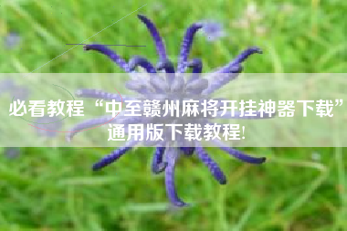 必看教程“中至赣州麻将开挂神器下载”通用版下载教程!