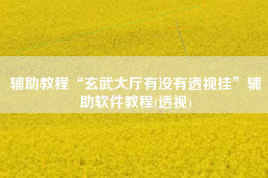 辅助教程“玄武大厅有没有透视挂	”辅助软件教程(透视)