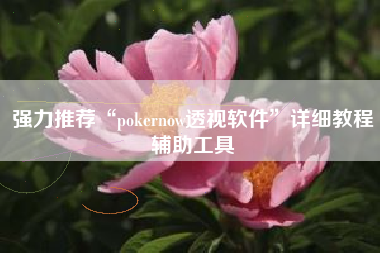 强力推荐“pokernow透视软件	”详细教程辅助工具