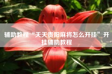 辅助教程“天天贵阳麻将怎么开挂”开挂辅助教程