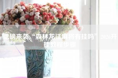 重磅来袭“森林龙江麻将有挂吗	”2026开挂教程步骤