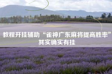 教程开挂辅助“雀神广东麻将提高胜率”其实确实有挂