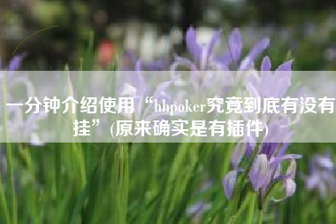 一分钟介绍使用“hhpoker究竟到底有没有挂”(原来确实是有插件)