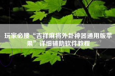 玩家必搜“吉祥麻将外卦神器通用版苹果”详细辅助软件教程