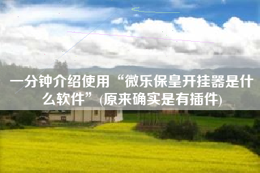 一分钟介绍使用“微乐保皇开挂器是什么软件”(原来确实是有插件)