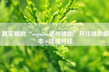 真实辅助“wepoker德州辅助”开挂辅助脚本+详细开挂