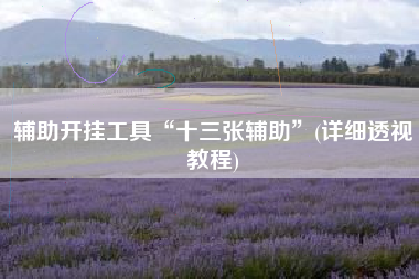 辅助开挂工具“十三张辅助”(详细透视教程)