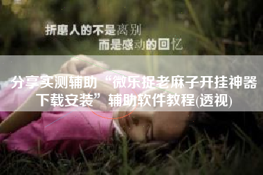 分享实测辅助“微乐捉老麻子开挂神器下载安装”辅助软件教程(透视)