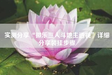 实测分享“微乐三人斗地主透视”详细分享装挂步骤