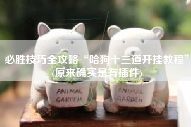 必胜技巧全攻略“哈狗十三道开挂教程”(原来确实是有插件)