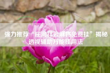 强力推荐“庄河祥云麻将免费挂	”揭秘透视辅助万能挂用法