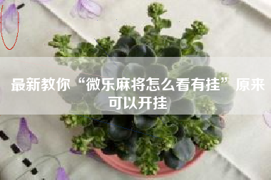 最新教你“微乐麻将怎么看有挂	”原来可以开挂