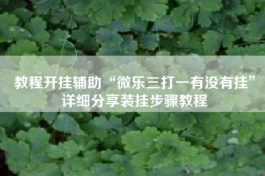 教程开挂辅助“微乐三打一有没有挂”详细分享装挂步骤教程