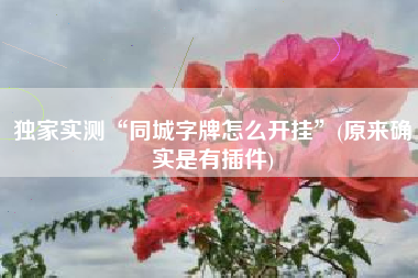 独家实测“同城字牌怎么开挂”(原来确实是有插件)