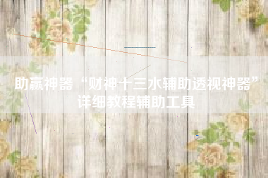 助赢神器“财神十三水辅助透视神器”详细教程辅助工具