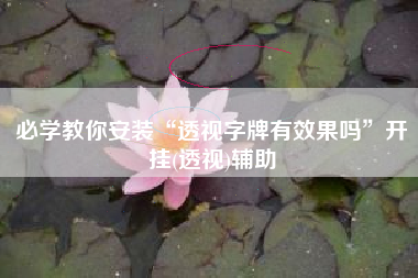 必学教你安装“透视字牌有效果吗”开挂(透视)辅助