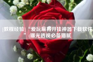 [教程经验]“爱玩麻将开挂神器下载软件”(曝光透视必备猫腻