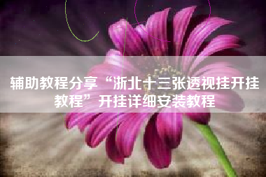 辅助教程分享“浙北十三张透视挂开挂教程	”开挂详细安装教程