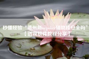 秒懂经验“德州局wepoker辅助挂安全吗”【透视软件教程分享】