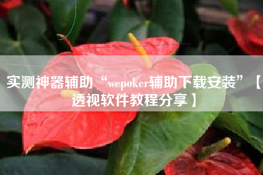 实测神器辅助“wepoker辅助下载安装”【透视软件教程分享】