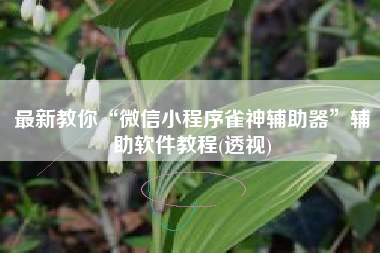 最新教你“微信小程序雀神辅助器”辅助软件教程(透视)