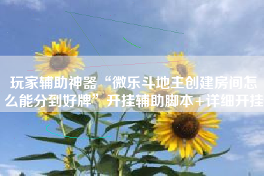 玩家辅助神器“微乐斗地主创建房间怎么能分到好牌”开挂辅助脚本+详细开挂