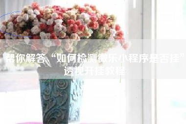 帮你解答“如何检测微乐小程序是否挂”透视开挂教程