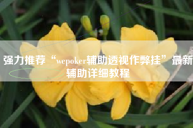 强力推荐“wepoker辅助透视作弊挂”最新辅助详细教程