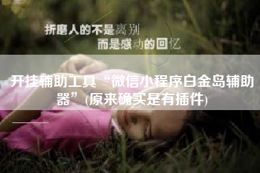 开挂辅助工具“微信小程序白金岛辅助器”(原来确实是有插件)